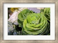 Ornamental Cabbage In A Flower Arrangement Fine Art Print