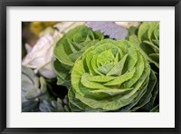 Ornamental Cabbage In A Flower Arrangement Fine Art Print