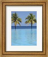Infinity Pool Surrounded By Palm Trees Fine Art Print