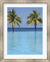 Infinity Pool Surrounded By Palm Trees Fine Art Print