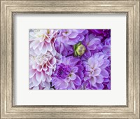 Flower Pattern With Large Group Of Lavender Flowers Fine Art Print