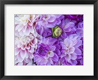 Flower Pattern With Large Group Of Lavender Flowers Fine Art Print