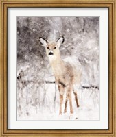Deer in Winter Forest Fine Art Print