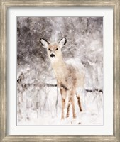Deer in Winter Forest Fine Art Print