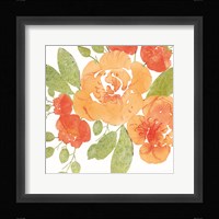Peachy Floral II Framed Print