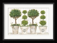 Topiary Still Life Fine Art Print