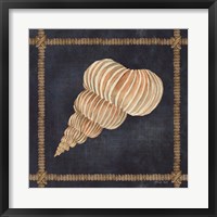 Seashell on Navy III Fine Art Print