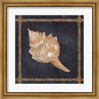 Seashell on Navy IV Fine Art Print