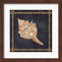 Seashell on Navy IV Fine Art Print