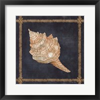 Seashell on Navy IV Framed Print