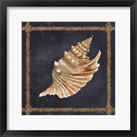 Seashell on Navy V Framed Print