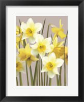 Spring Daffodils Fine Art Print