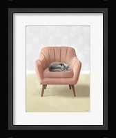 Nap Time Gray Cat Framed Print