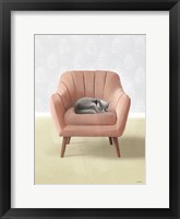 Nap Time Gray Cat Framed Print