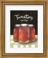 Farm Fresh Tomatoes Fine Art Print