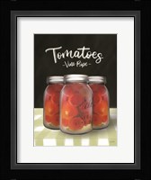 Farm Fresh Tomatoes Framed Print