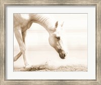 Trail Horse Sepia Fine Art Print