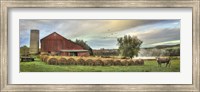 Hay Harvest Fine Art Print