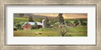 Grazing Sheet Fine Art Print