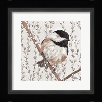 Wee Chickadee Fine Art Print