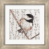 Wee Chickadee Fine Art Print