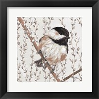 Wee Chickadee Fine Art Print