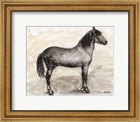 Horse Study 1 Fine Art Print