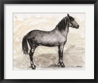 Horse Study 1 Fine Art Print