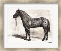Horse Study 2 Fine Art Print