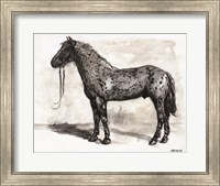 Horse Study 2 Fine Art Print