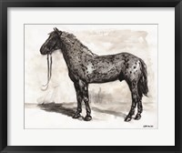 Horse Study 2 Framed Print