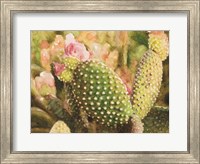 Cactus Flowers Fine Art Print