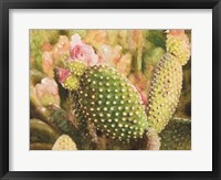 Cactus Flowers Fine Art Print