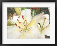 Macro Lilies Fine Art Print