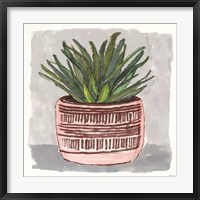 Potted Agave I Framed Print