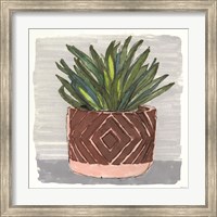 Potted Agave II Fine Art Print