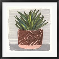 Potted Agave II Fine Art Print