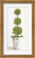 Topiary Paris Fine Art Print