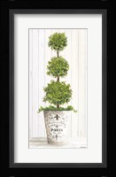 Topiary Paris Fine Art Print
