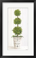 Magnificent Topiary I Framed Print