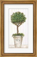 Magnificent Topiary II Fine Art Print