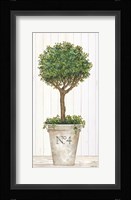 Magnificent Topiary II Framed Print
