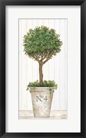 Magnificent Topiary II Framed Print