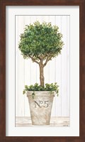 Magnificent Topiary III Fine Art Print