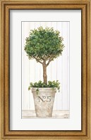 Magnificent Topiary III Fine Art Print