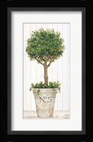 Magnificent Topiary III Framed Print