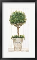 Magnificent Topiary III Framed Print
