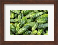 Cucumbers Fine Art Print