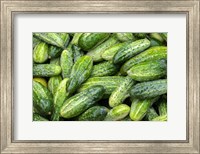 Cucumbers Fine Art Print