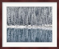 Winter Reflections Fine Art Print